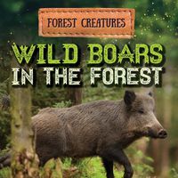 Cover image for Wild Boars in the Forest