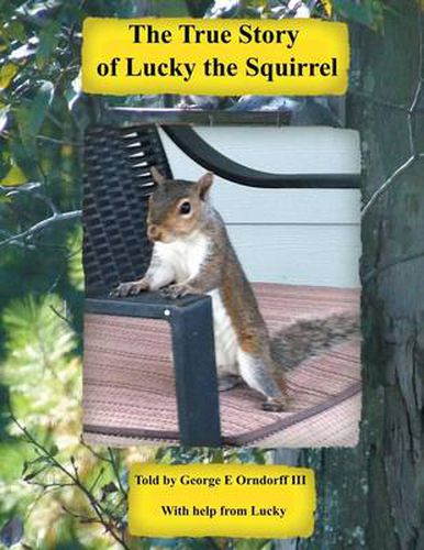 Cover image for Lucky the Squirrel
