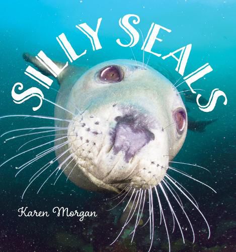 Cover image for Silly Seals
