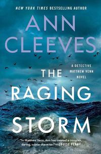 Cover image for The Raging Storm