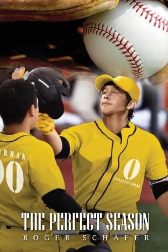 Cover image for The Perfect Season