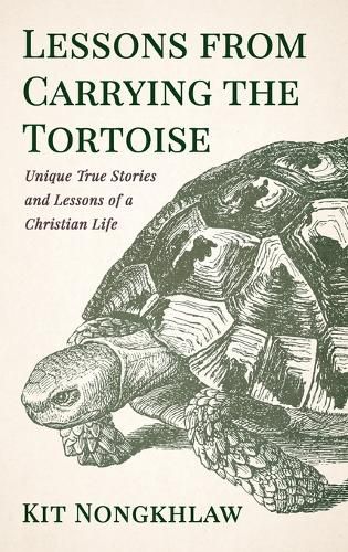 Cover image for Lessons from Carrying the Tortoise