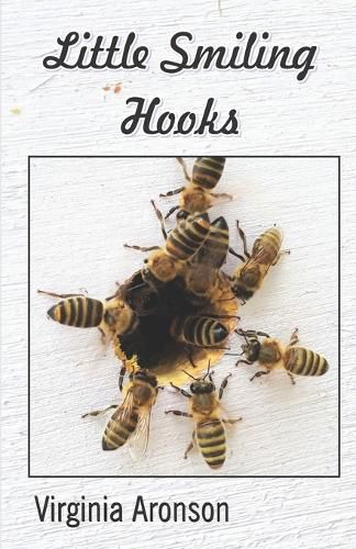Cover image for Little Smiling Hooks