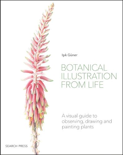 Cover image for Botanical Illustration from Life: A Visual Guide to Observing, Drawing and Painting Plants