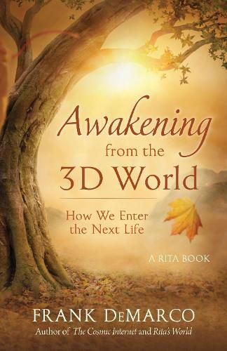 Awakening from the 3D World: How We Enter the Next Life - a Rita Book