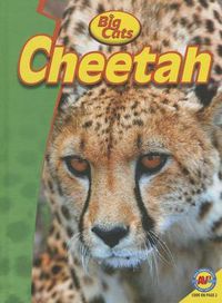 Cover image for Cheetah