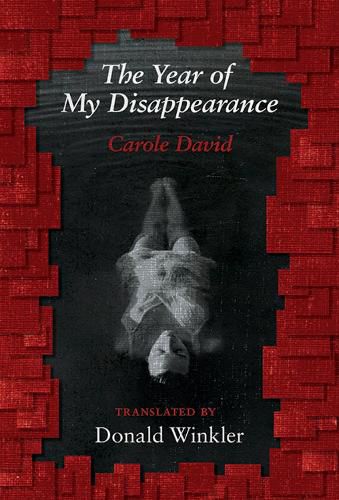 Cover image for The Year of My Disappearance