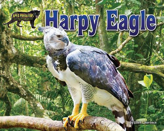 Cover image for Harpy Eagle