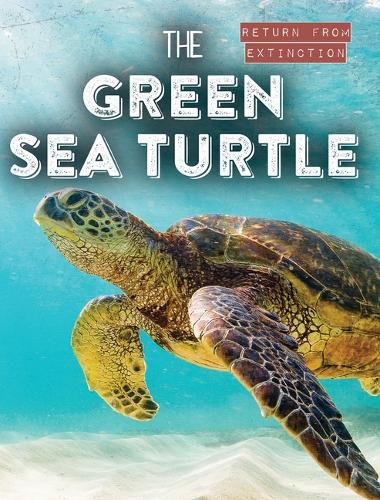 Cover image for The Green Sea Turtle