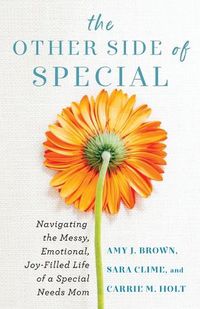 Cover image for The Other Side of Special - Navigating the Messy, Emotional, Joy-Filled Life of a Special Needs Mom
