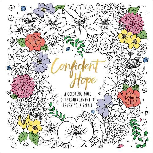 Cover image for Confident Hope