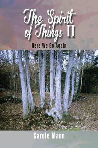 Cover image for The Spirit of Things II: Here We Go Again