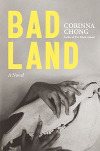 Cover image for Bad Land