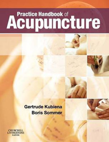 Cover image for Practice Handbook of Acupuncture