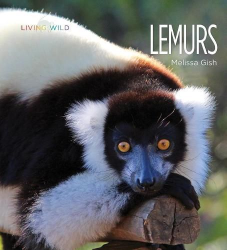 Lemurs