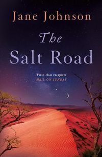 Cover image for The Salt Road