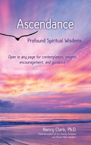 Cover image for Ascendance