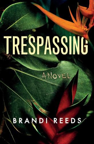 Cover image for Trespassing: A Novel