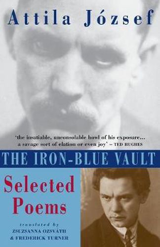 Cover image for The Iron-Blue Vault: Selected Poems