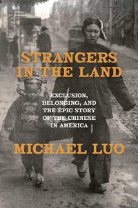 Cover image for Strangers in the Land