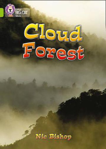 Cover image for The Cloud Forest: Band 11/Lime