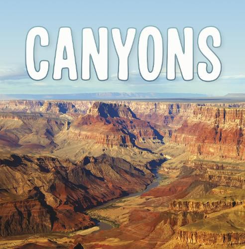 Cover image for Canyons