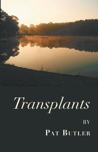 Cover image for Transplants