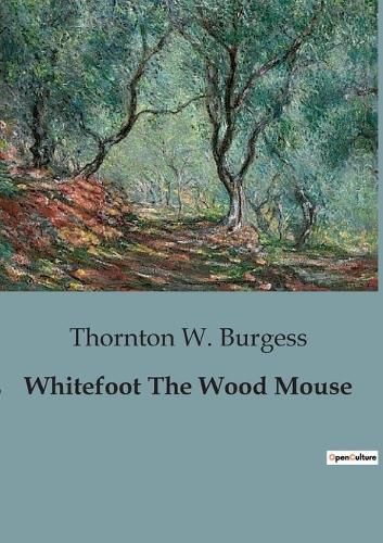 Cover image for Whitefoot The Wood Mouse