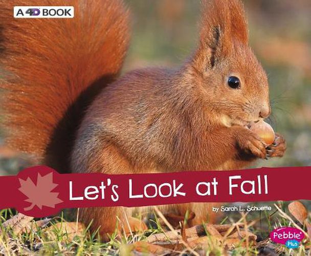 Let's Look at Fall: A 4D Book