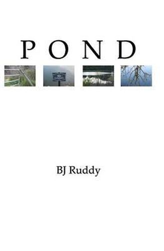 Cover image for Pond