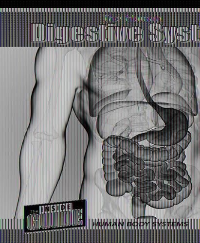 Cover image for The Human Digestive System