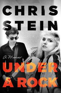 Cover image for Under A Rock