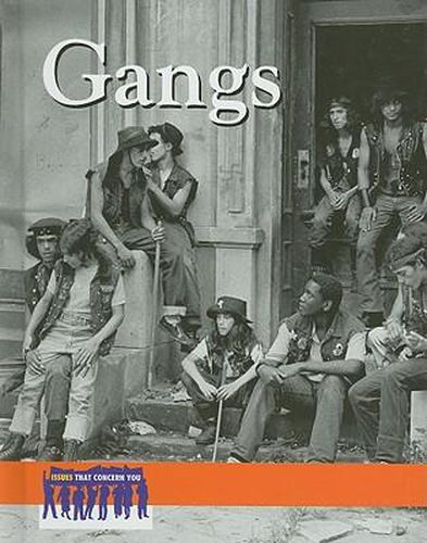 Cover image for Gangs