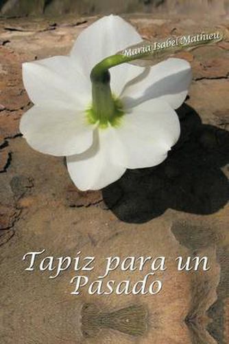 Cover image for Tapiz Para Un Pasado