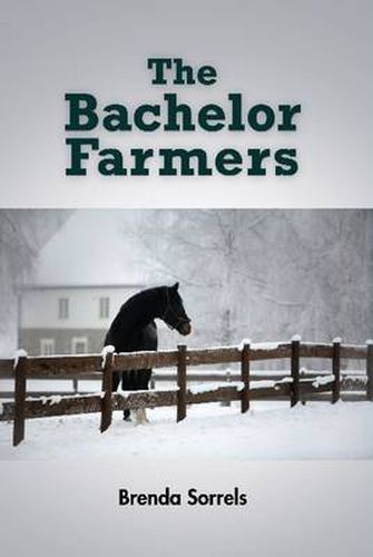 Cover image for The Bachelor Farmers (Hardcover)