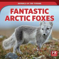 Cover image for Fantastic Arctic Foxes