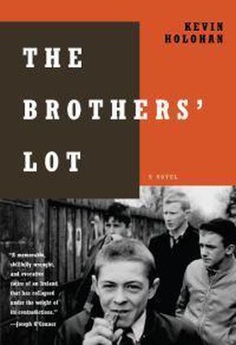 Cover image for The Brothers' Lot