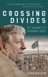 Cover image for Crossing Divides