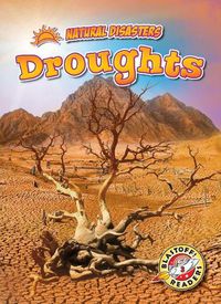 Cover image for Droughts