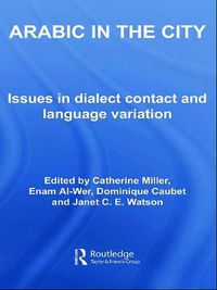 Cover image for Arabic in the City: Issues in Dialect Contact and Language Variation