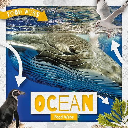 Cover image for Ocean Food Webs