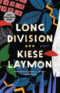 Cover image for Long Division: A Novel