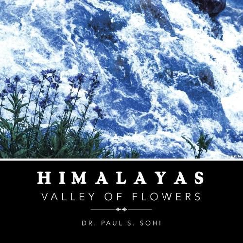 Cover image for Himalayas: Valley of Flowers