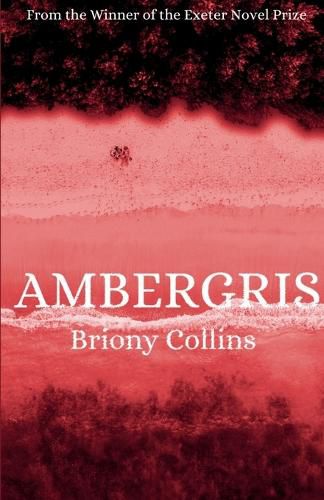 Cover image for Ambergris