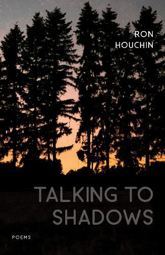 Cover image for Talking to Shadows: Poems
