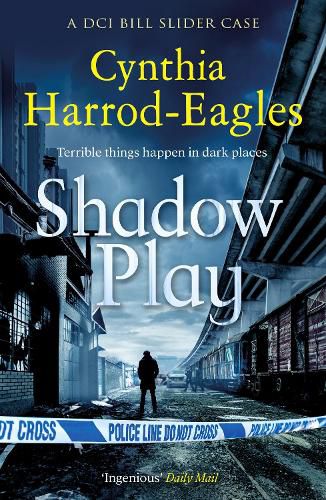 Cover image for Shadow Play