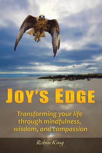 Cover image for Joy's Edge