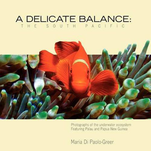 Cover image for A Delicate Balance: The South Pacific