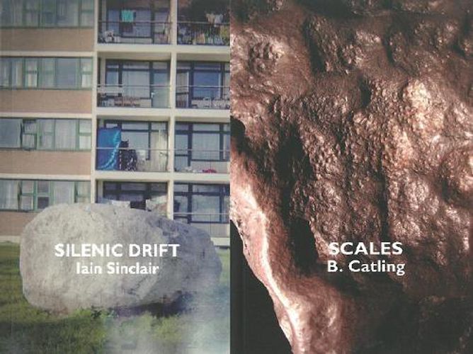 Cover image for Silenic Drift / Scales