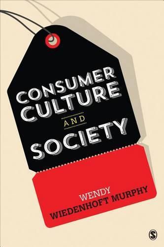 Cover image for Consumer Culture and Society